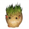 Gras-Tierchen - Lustiges Geschenk für kleine Gärtner