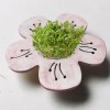 Teelichthalter Blume, Blumenlicht